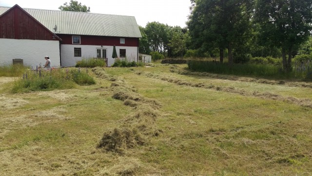 Räfsat till strängar